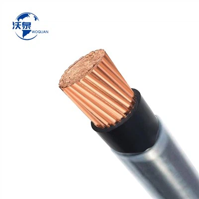 Thermoplastic High Heat Resistant Nylon Jacket Building Wire